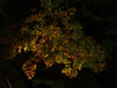 いろはにほへと