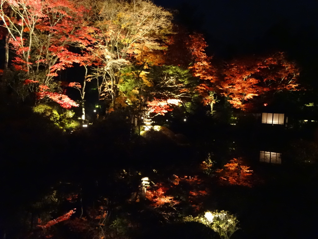 日光山輪寺のライトアップ