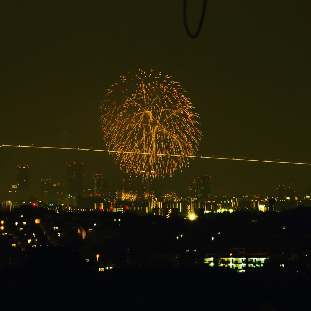 静かな景色を彩る花火