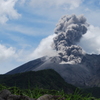 山
