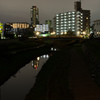 芝川周辺①