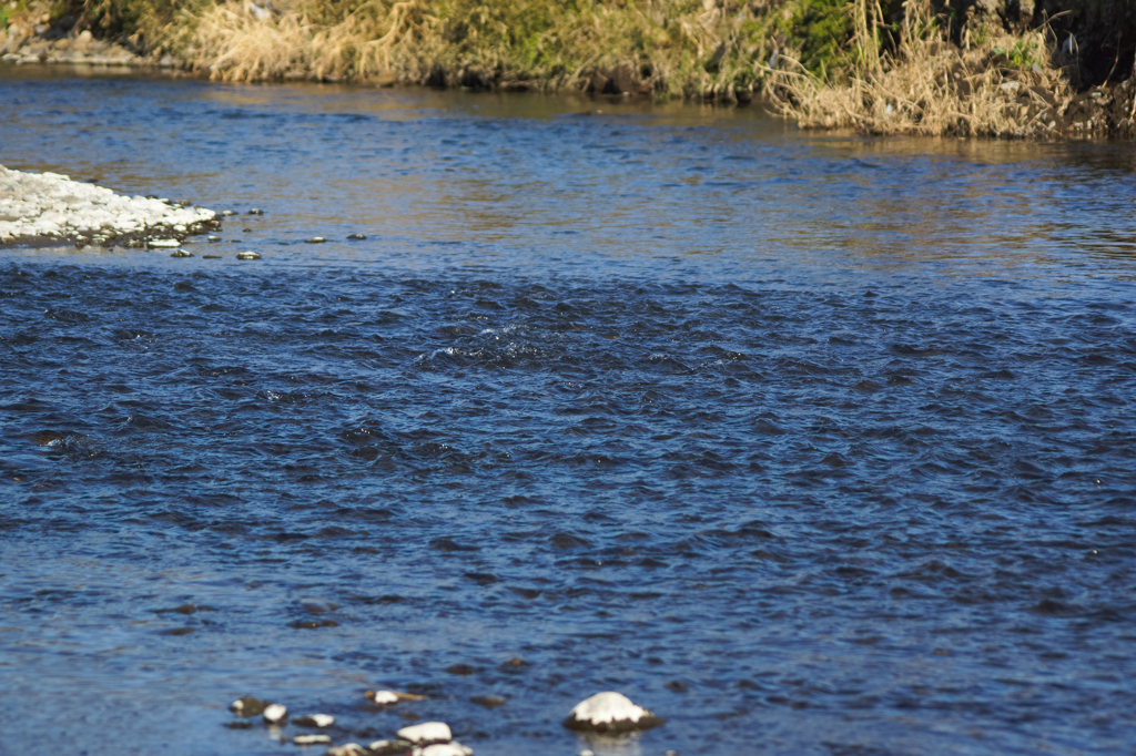 冬の清流