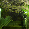夜桜(川口駅周辺②)