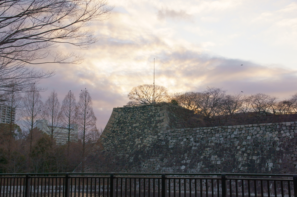 大阪城公園散歩編①