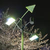 夜桜(川口駅周辺③)