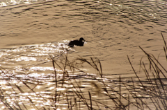 冷たい風にも負けず