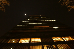 天を仰ぎ月を見る