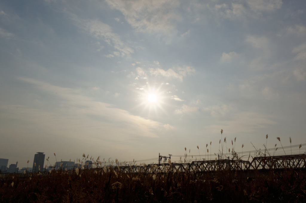 淀川河川敷①