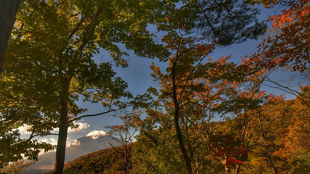 山道の途中で顔を見せた富士山