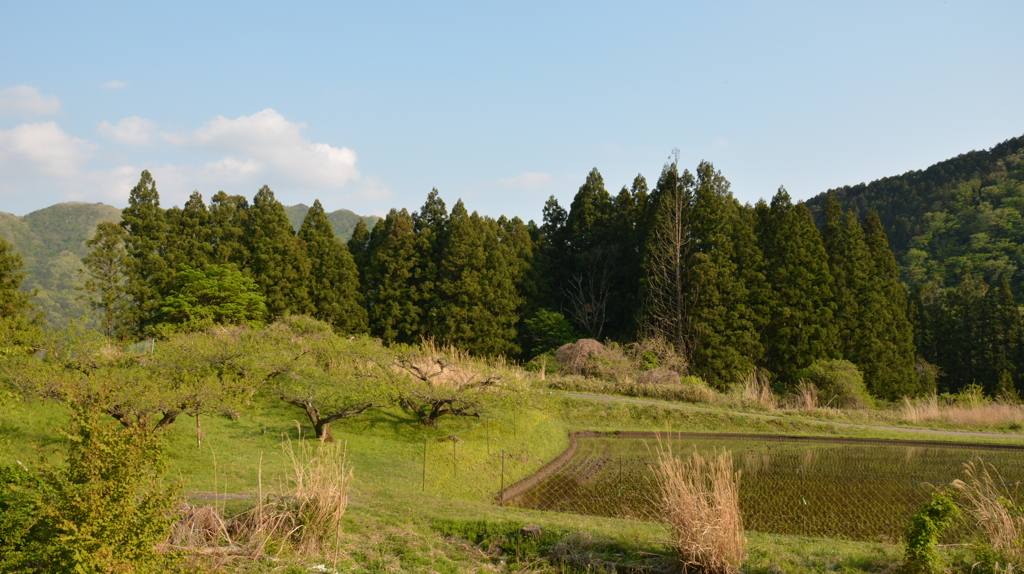 うぐいす囀る山里