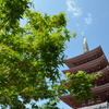 爽々と