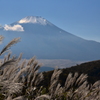 平尾山から