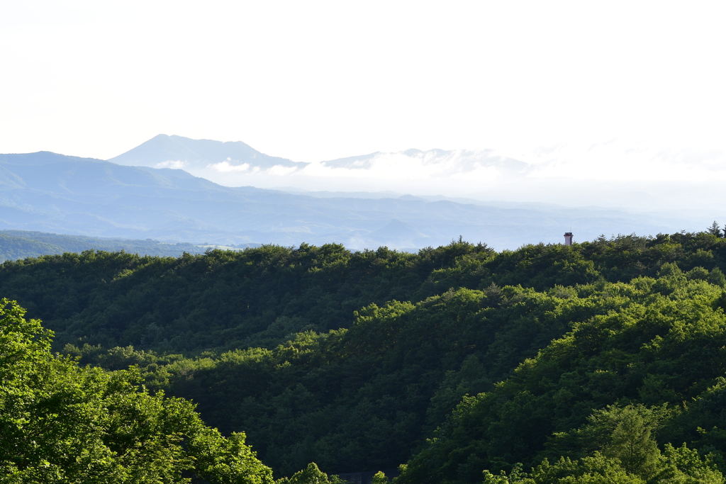 七時雨山遠望