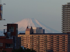 Mt.Fuji