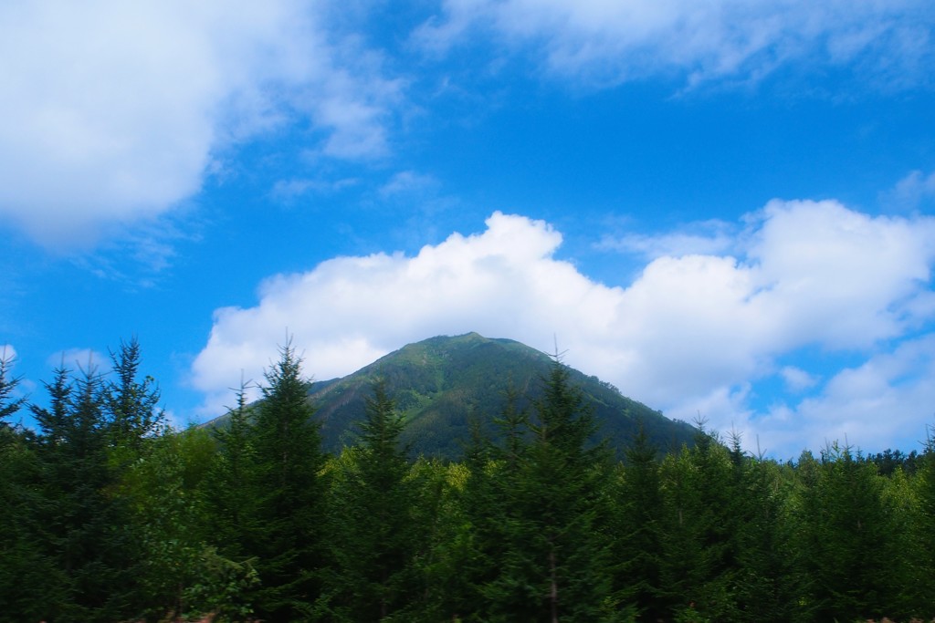 ニセコの山