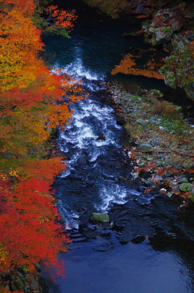 奥多摩　紅葉