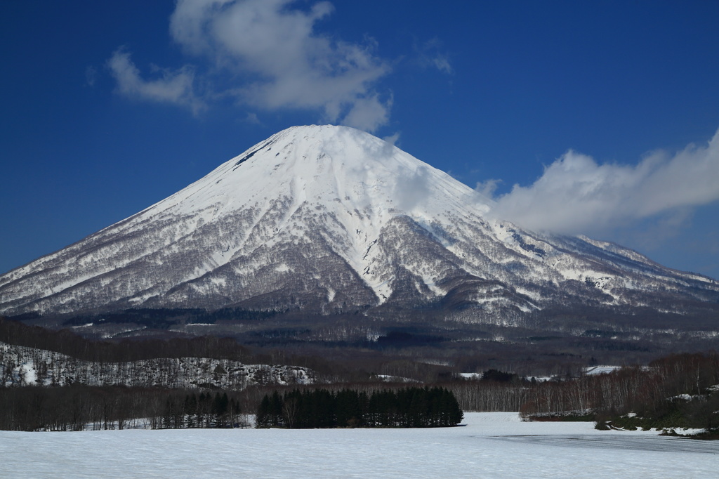 春の羊蹄山 Ⅳ