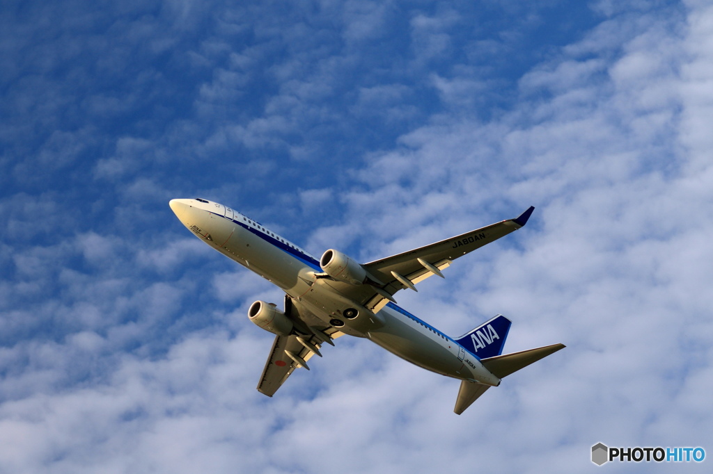 夏空に向かって