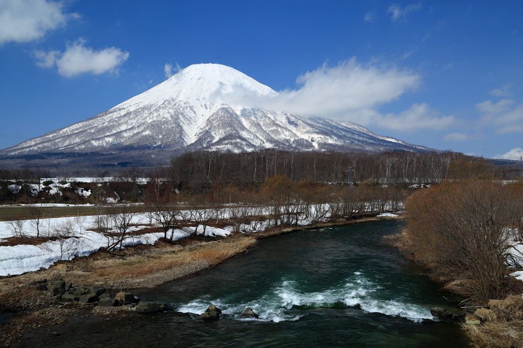 春の羊蹄山 Ⅲ