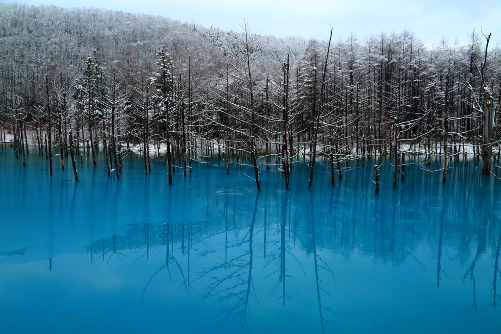 新雪の青い池　③