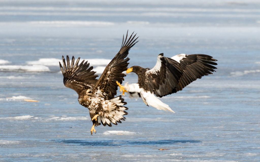 Impact（激突）　１　