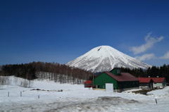 春の羊蹄山 Ⅴ