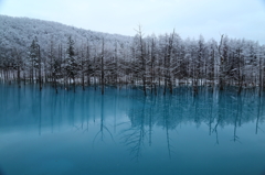 新雪の青い池　④
