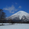 春の羊蹄山 Ⅱ