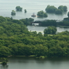 夏のＳＬ函館大沼号　３
