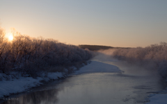 厳寒の雪裡川