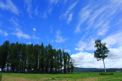 美瑛の夏空Ⅲ