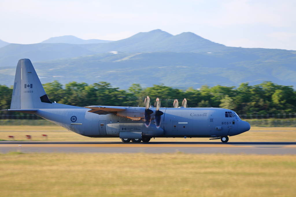 Lockheed C-130 Hercules(130-603)