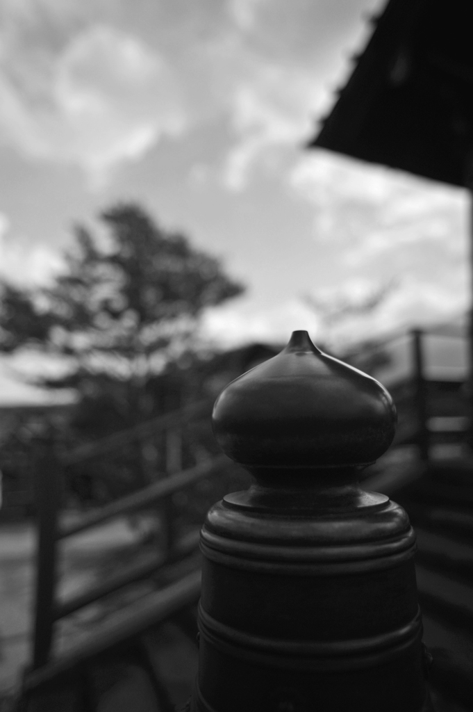 大きなタマネギの前で