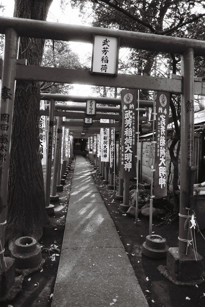 鳥居１