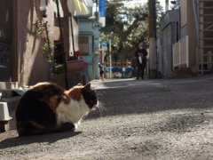131230_130118 写真撮り歩き第1回オフ@都電地蔵坂商店街