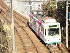 131230_135152 写真撮り歩き第1回オフ@都電地蔵坂商店街