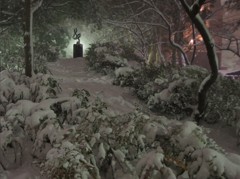 140208 【東京雪まつり】 吹雪の中の輝く音色