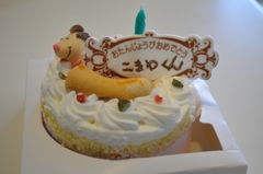 愛犬の誕生日ケーキ♪