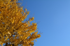 青空