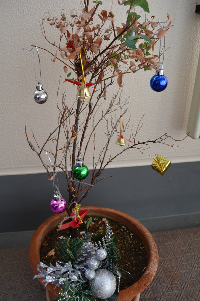 立派なクリスマスツリー