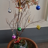 立派なクリスマスツリー