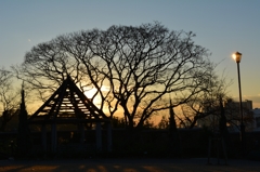 夕焼け