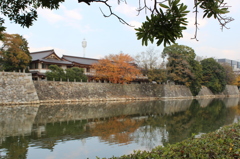紅葉と池