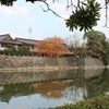 紅葉と池