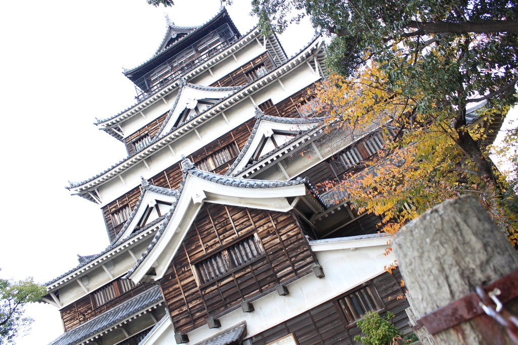 城