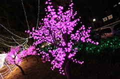 イルミネーション（桜）