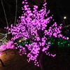 イルミネーション（桜）