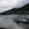 港