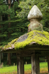 中尊寺にて。