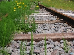 忘れられた鉄路